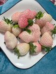 粉红色白色草莓