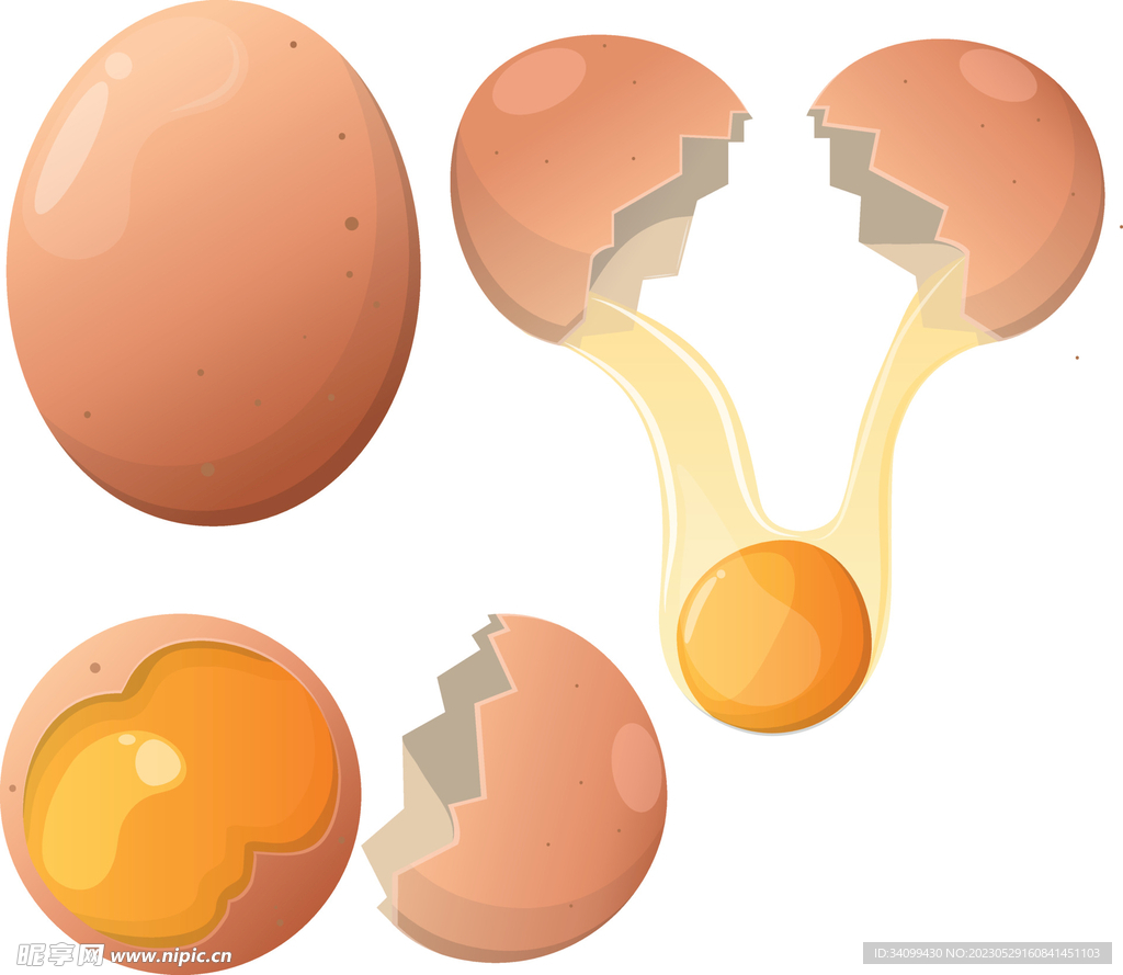 Cracked Egg Vector - Download Free Vector Art, Stock Graphics & Images