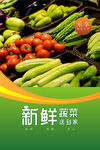 蔬菜