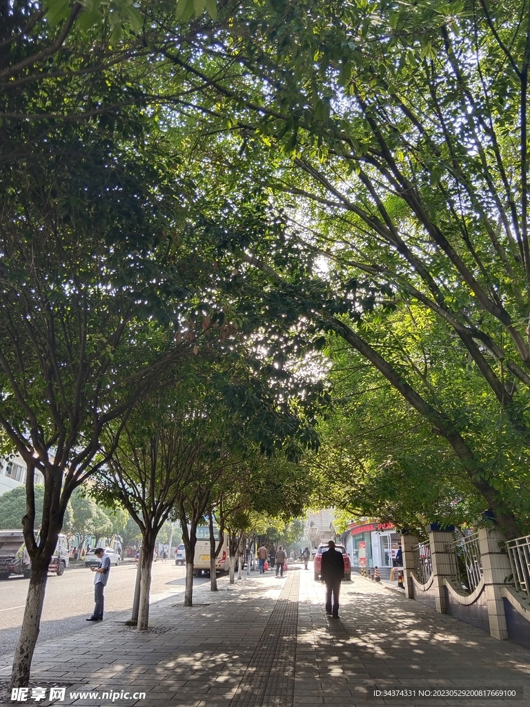 树