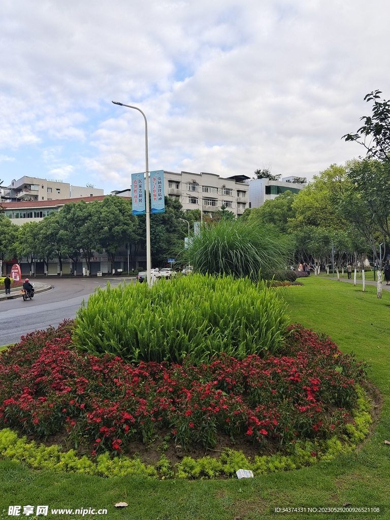 绿植