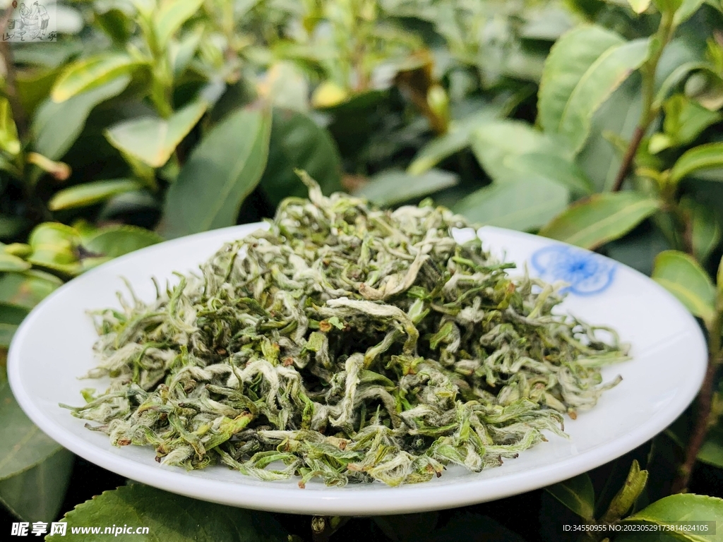 绿茶
