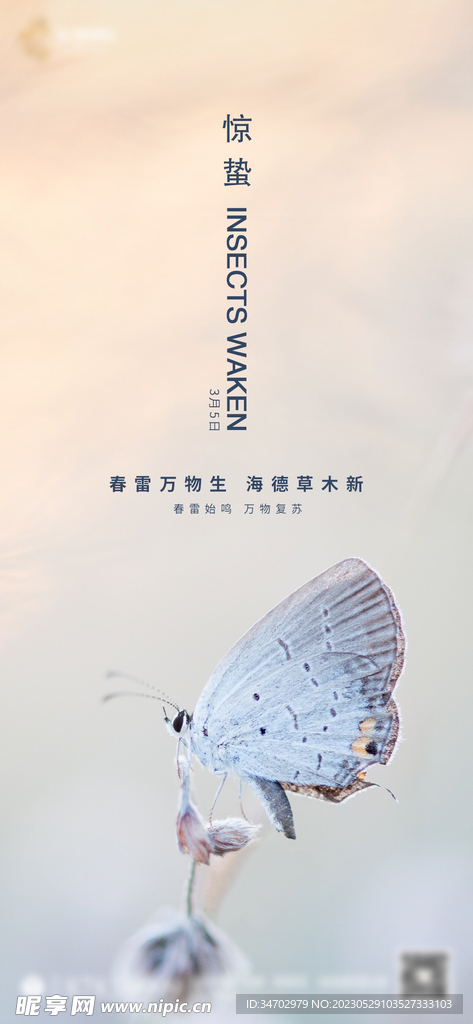 惊蛰节气海报