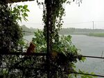 下雨天