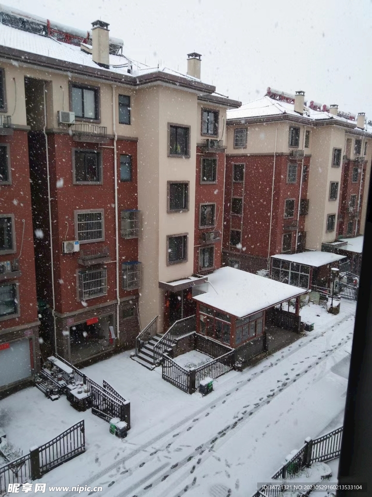 雪