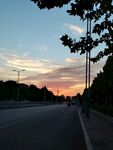 夕阳