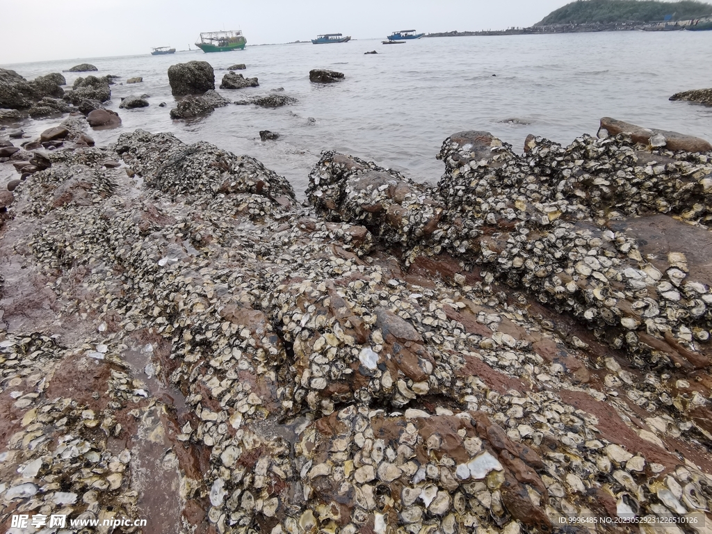 海滩景色