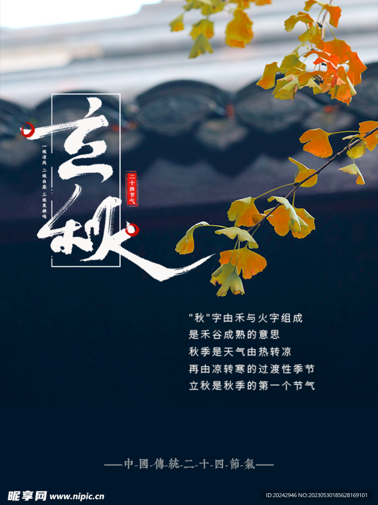 立秋海报  