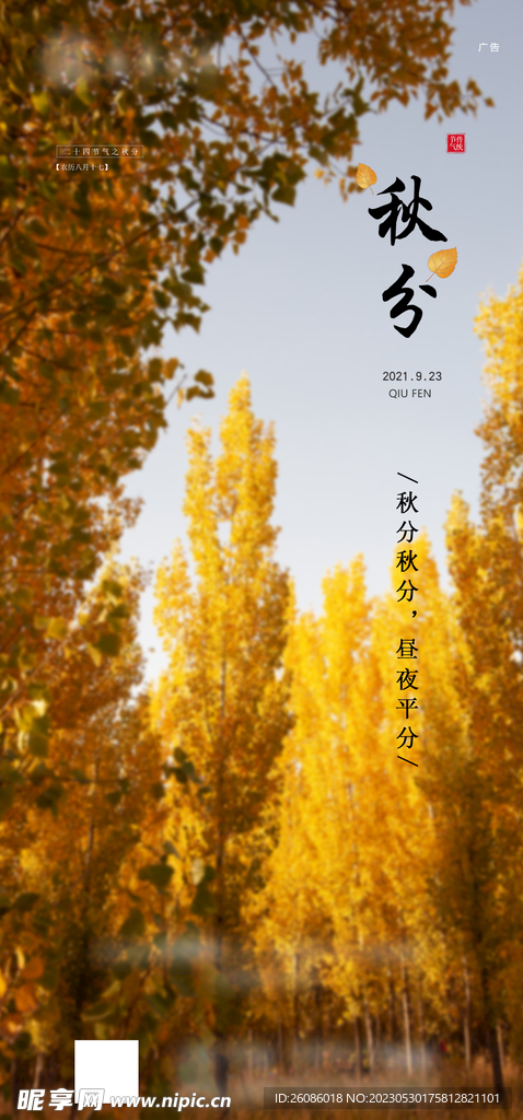 秋分