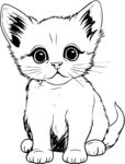 猫咪