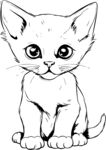 猫咪