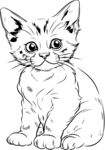 猫咪