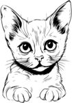 猫咪