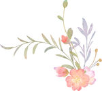 水彩花卉