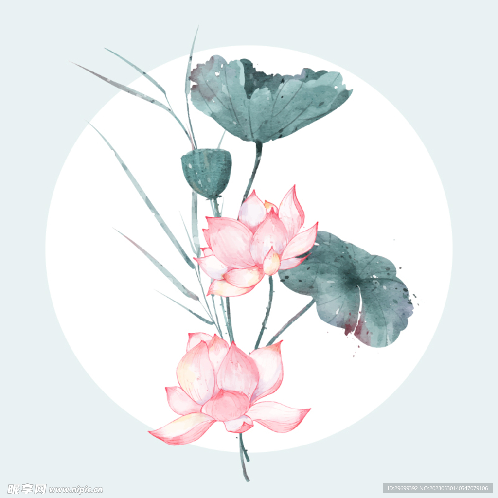 水彩花卉