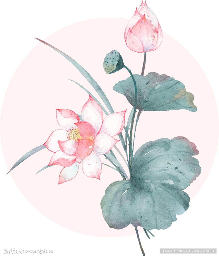 水彩花卉