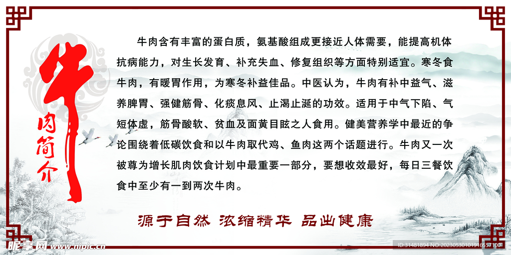 牛肉简介