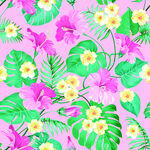 热带花