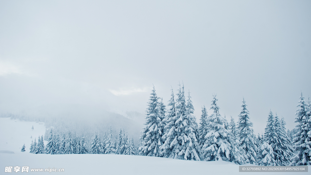 雪景 树 简约背景
