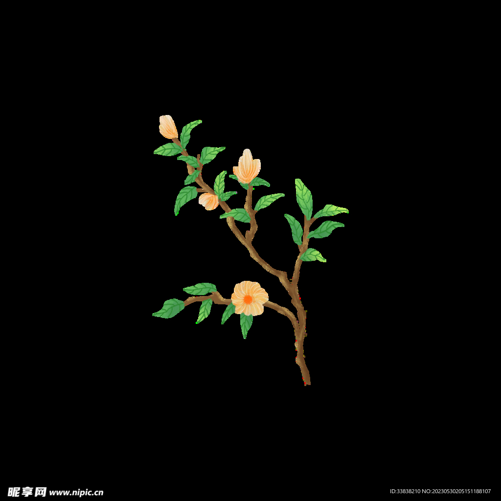 黄花