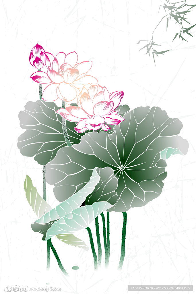莲花