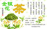 金银花  茶   天然花茶