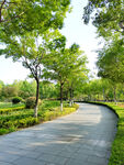公园小路