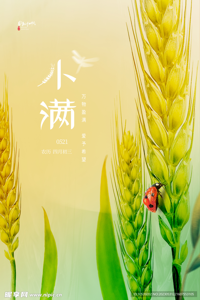 小满