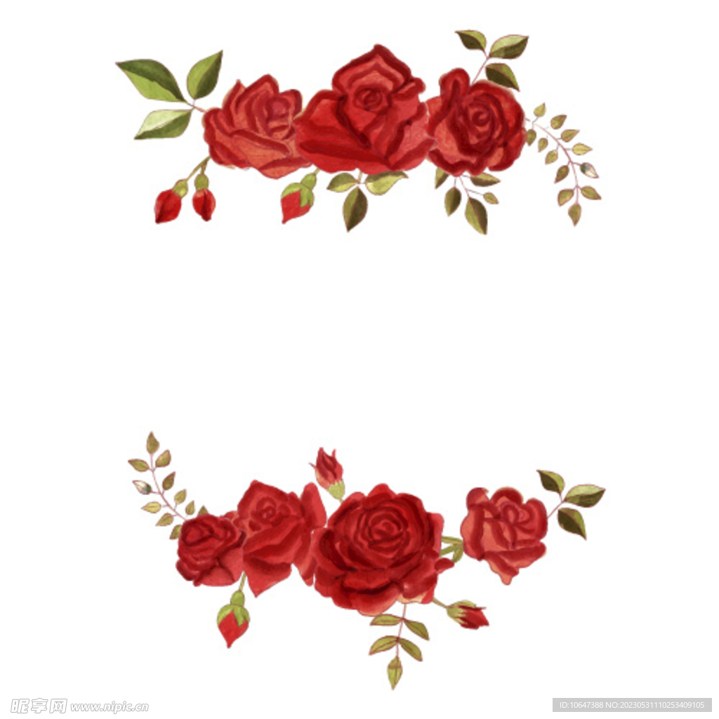 玫瑰花