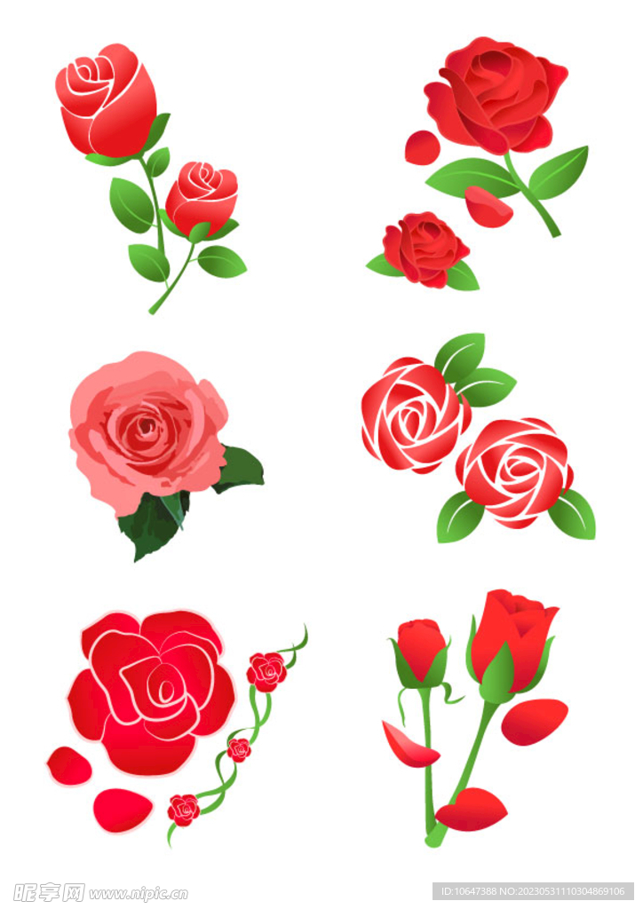 玫瑰花