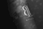 logo样机