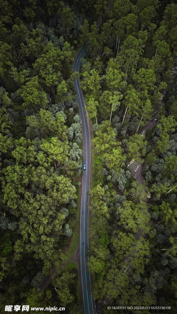 绿色公路