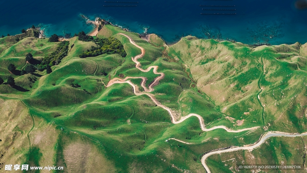 绿色蜿蜒蛇形丘陵地带大自然风景