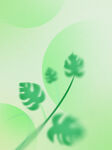  植物背景