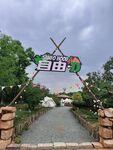 露营基地