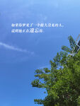 蓝天下的一句话