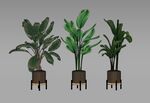 室内盆栽植物模型