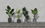 盆栽植物模型