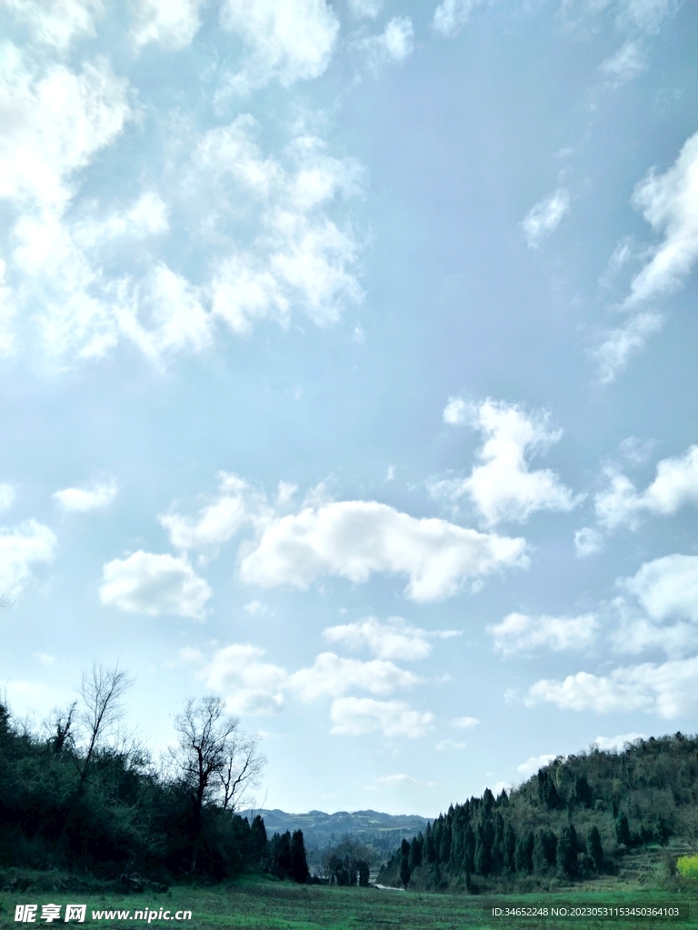 风景