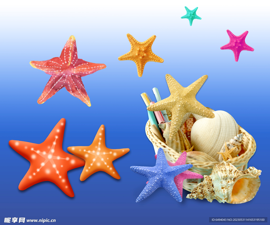 海底生物海星免抠素材集合