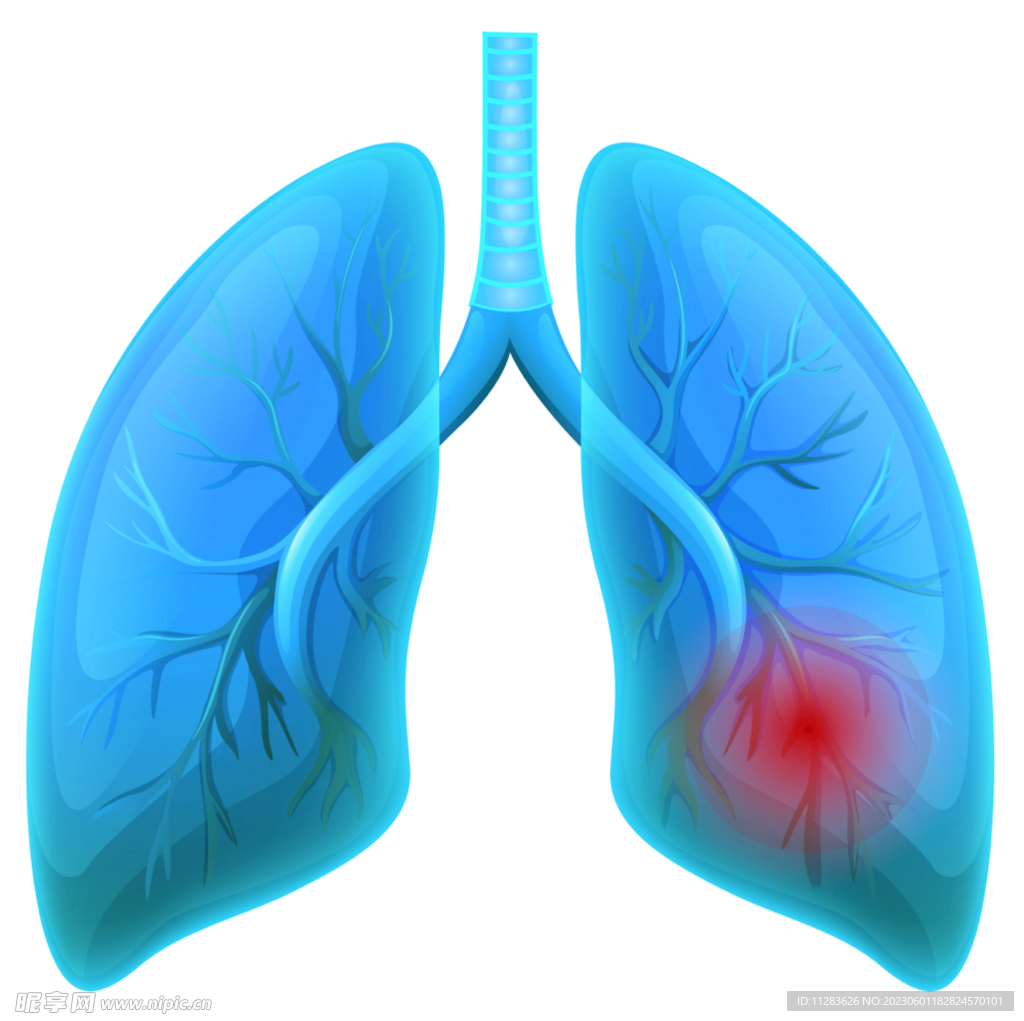 科技肺插画