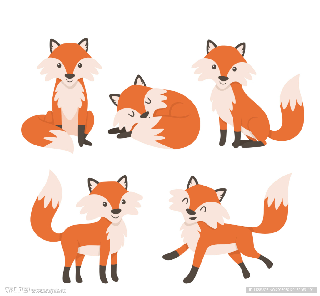 狐狸插画