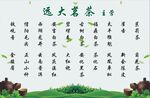 远大茗茶