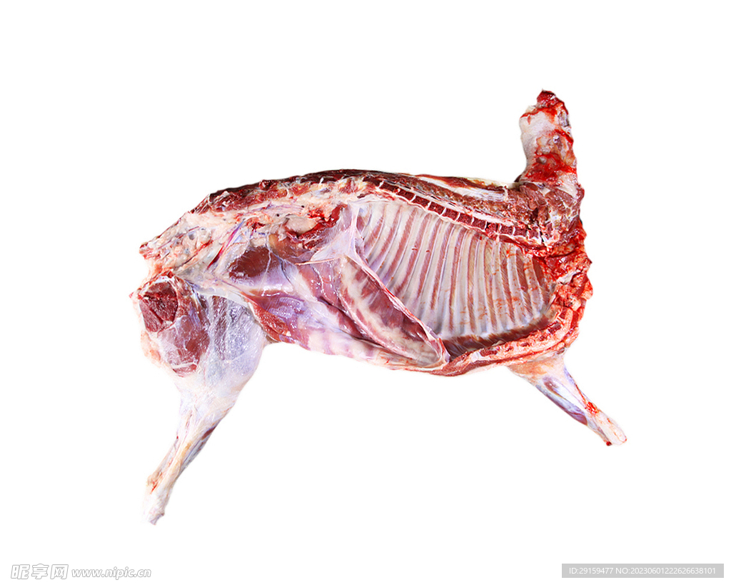 羊肉 