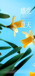 夏至立夏节气海报