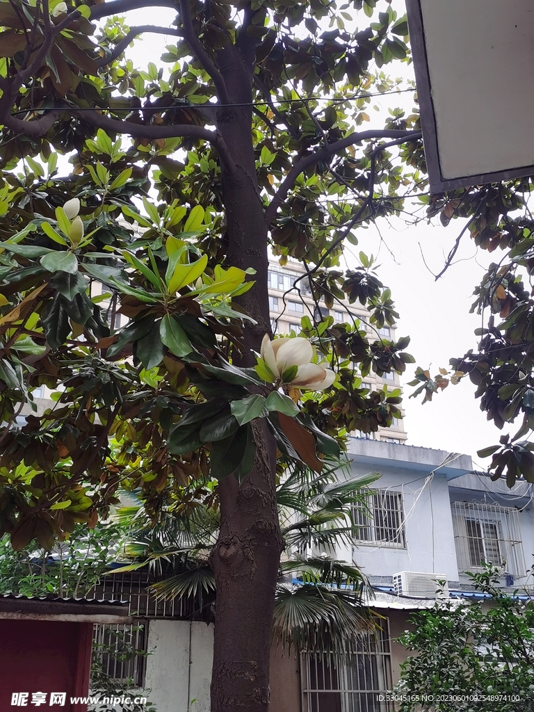 旧舍