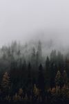高山