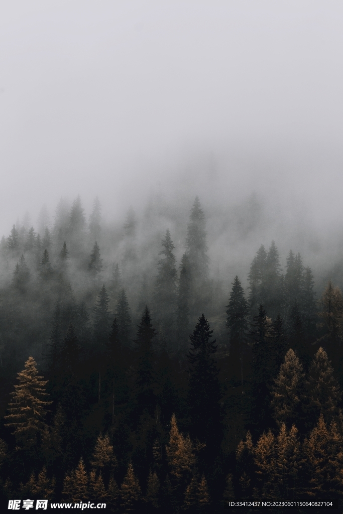 高山