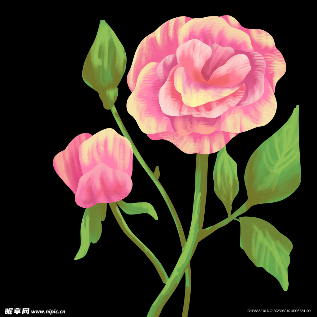 玫瑰花