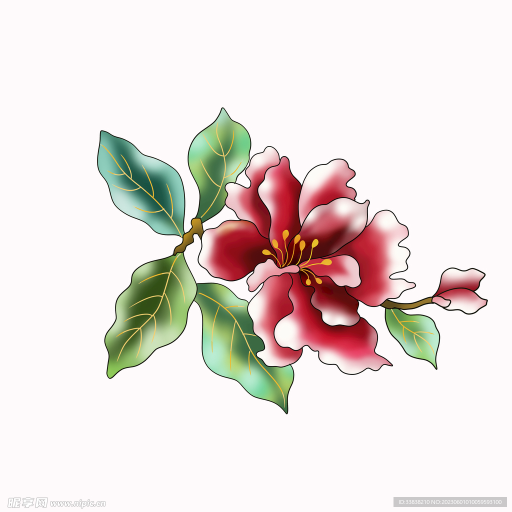 山茶
